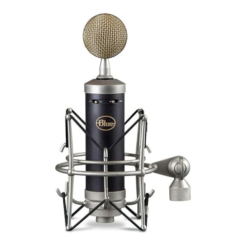 Baby Bottle Large-Diaphragm Condenser Microphone | Blue Microphones
