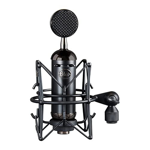 Blue Blueberry Large-Diaphragm Cardioid Condenser Microphone